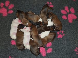 Blog OELE10102021